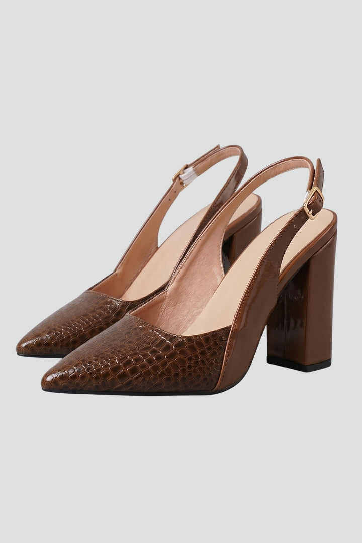 Women's Leather Shoes with Ankle Strap and Block Heel