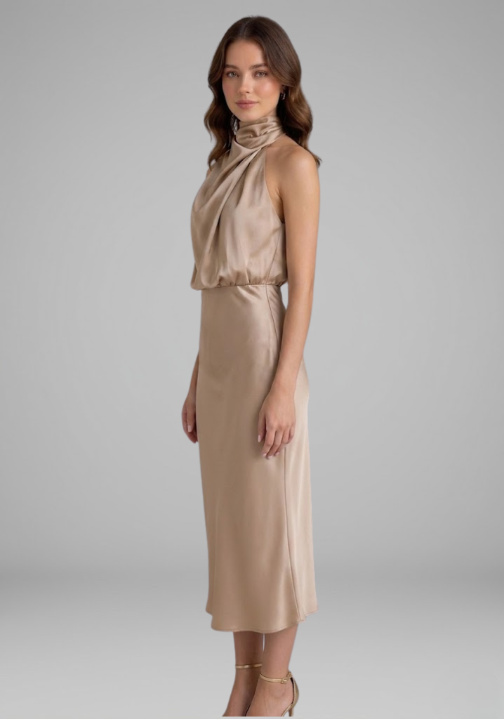 Women’s Dress with High Neck and Draped Front