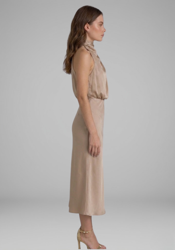Women’s Dress with High Neck and Draped Front