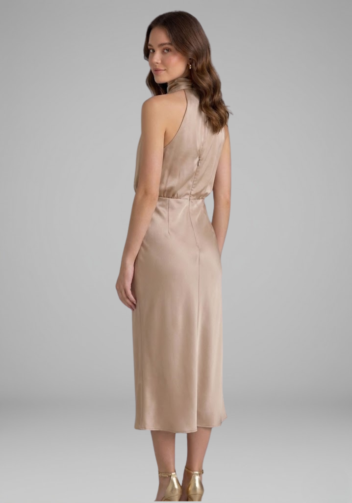 Women’s Dress with High Neck and Draped Front
