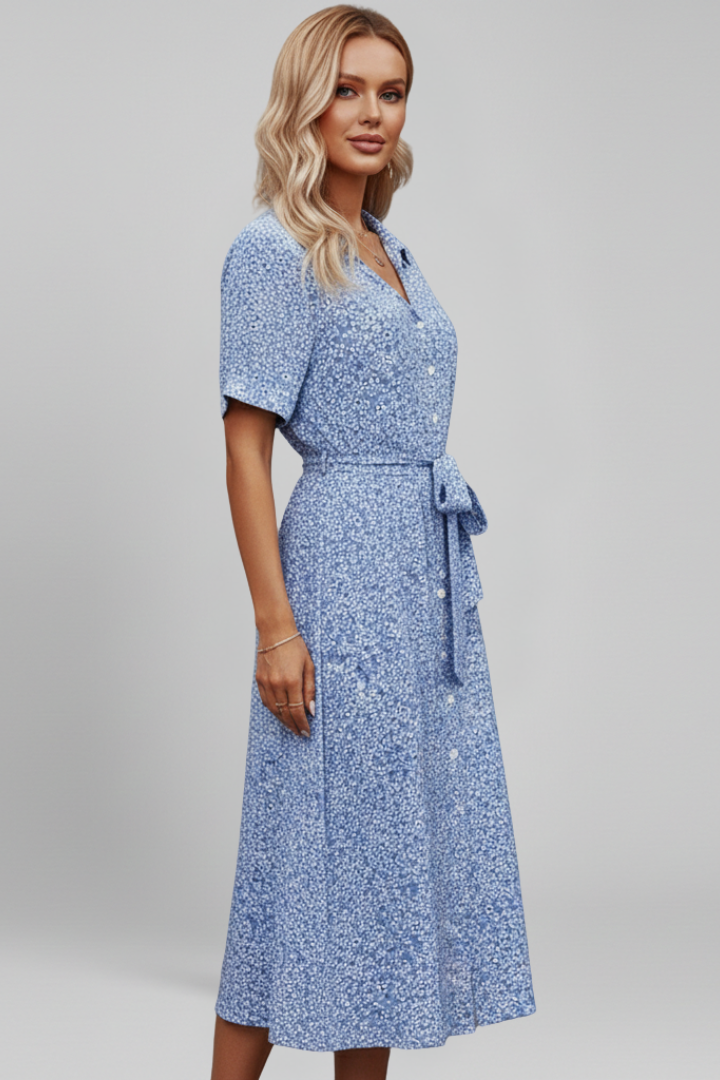 Women’s Dress with V Neckline and Button Closure