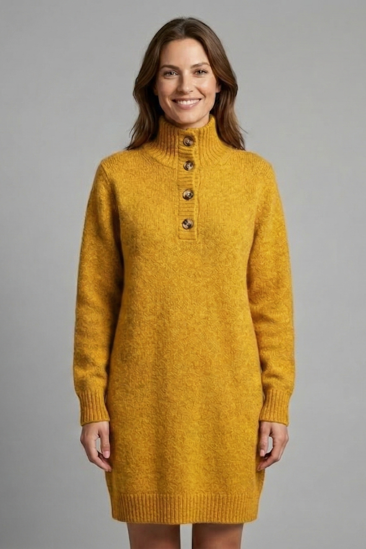 Women’s Jumper Dress with High Neck and Button Placket