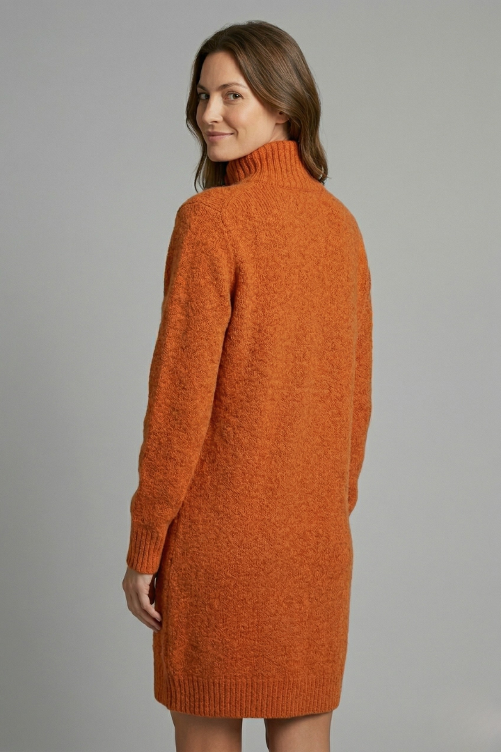 Women’s Jumper Dress with High Neck and Button Placket