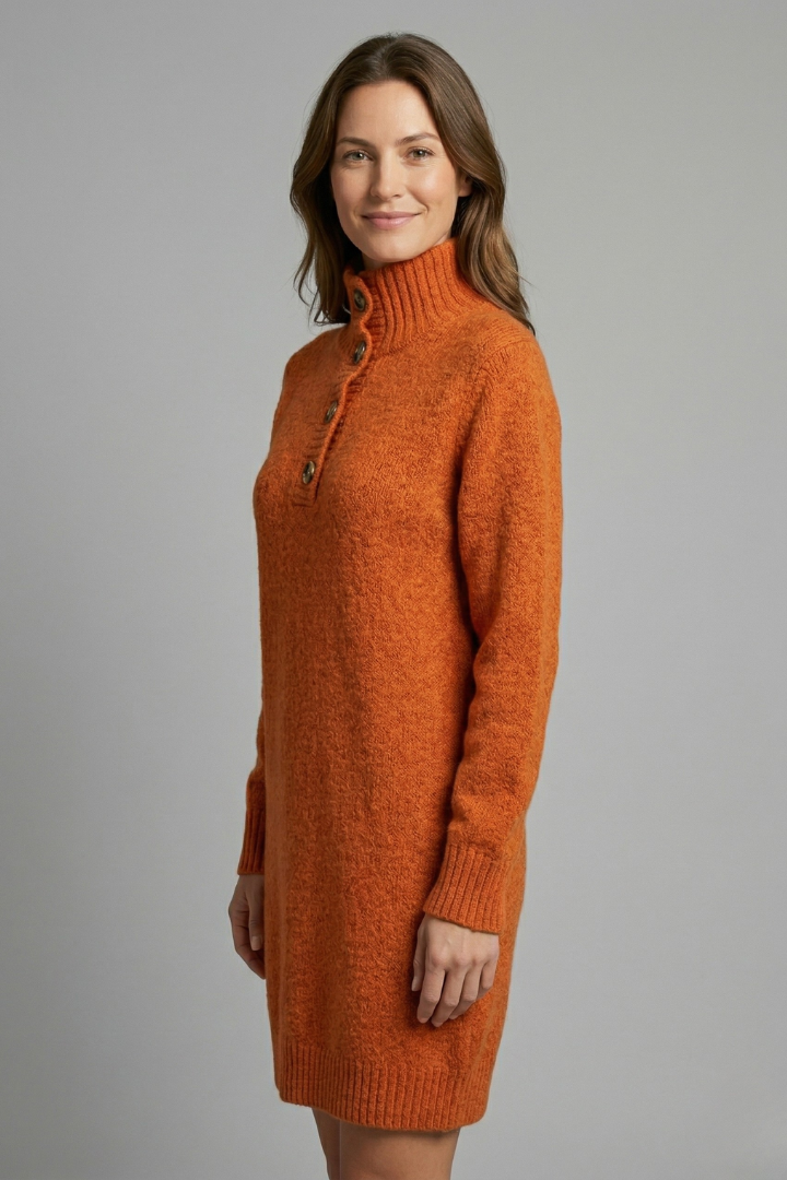 Women’s Jumper Dress with High Neck and Button Placket