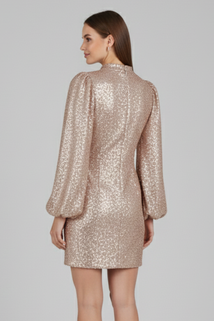 Women’s Mini Dress with Round Neckline and Long Sleeves