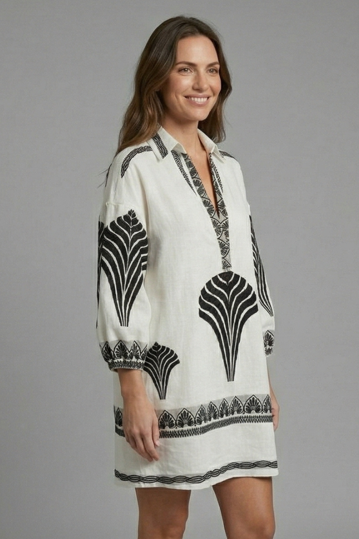 Women’s Mini Dress with V-Neck and Long Sleeves