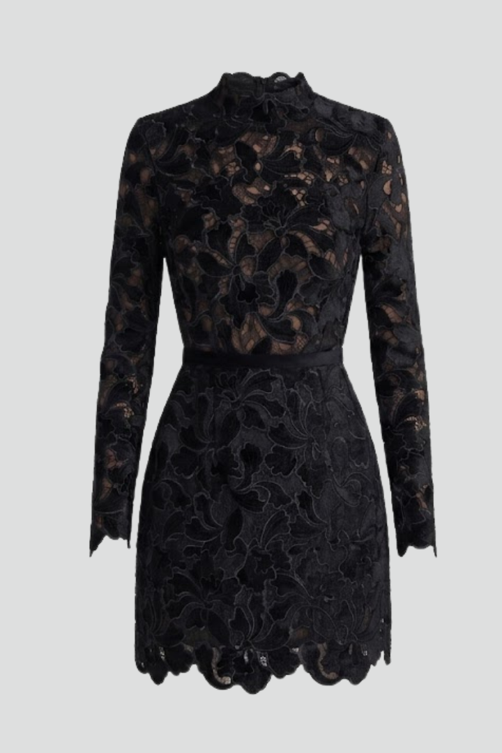 Women's chic mini dress with Long Sleeves for Everyday Wear